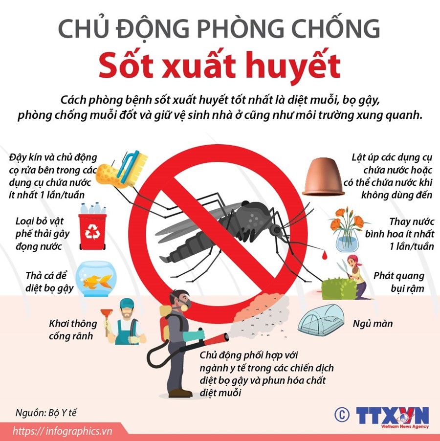 KH- Tổ chức chiến dịch Tổng vệ sinh môi trường - Diệt bọ gậy, phòng chống dịch bệnh sốt xuất huyết trên địa bàn phường Hà Cầu đợt 3 năm 2024